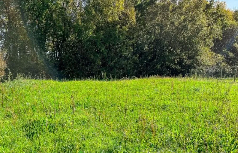 Image Terrain à bâtir de 500 m² à BOUAYE (44)