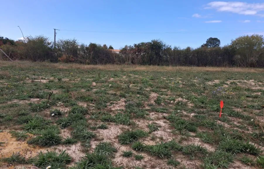 Image Terrain à bâtir de 308 m² à LES SABLES-D'OLONNE (85)